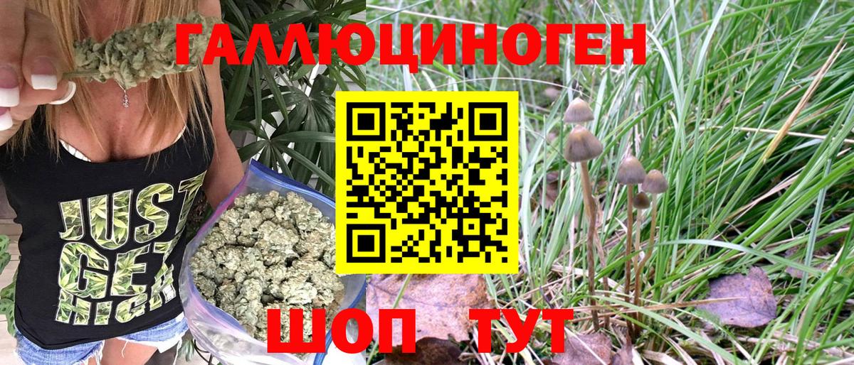 Волгоград  Галлюциногенные грибы MAGIC MUSHROOMS  Вход с VPN  закладки  Псилоцибиновые грибы мицелий 